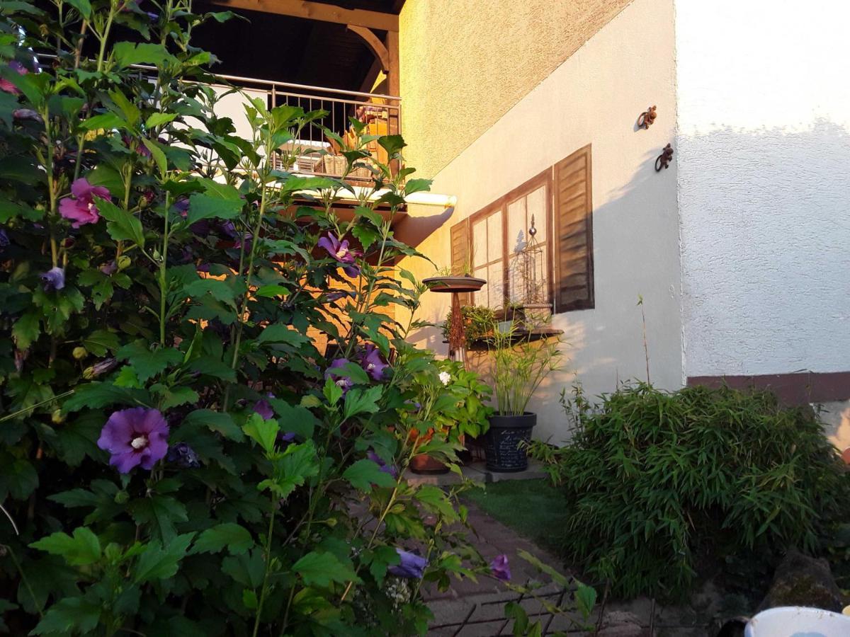 Haus Sonnenblick Lägenhet Momlingen Exteriör bild